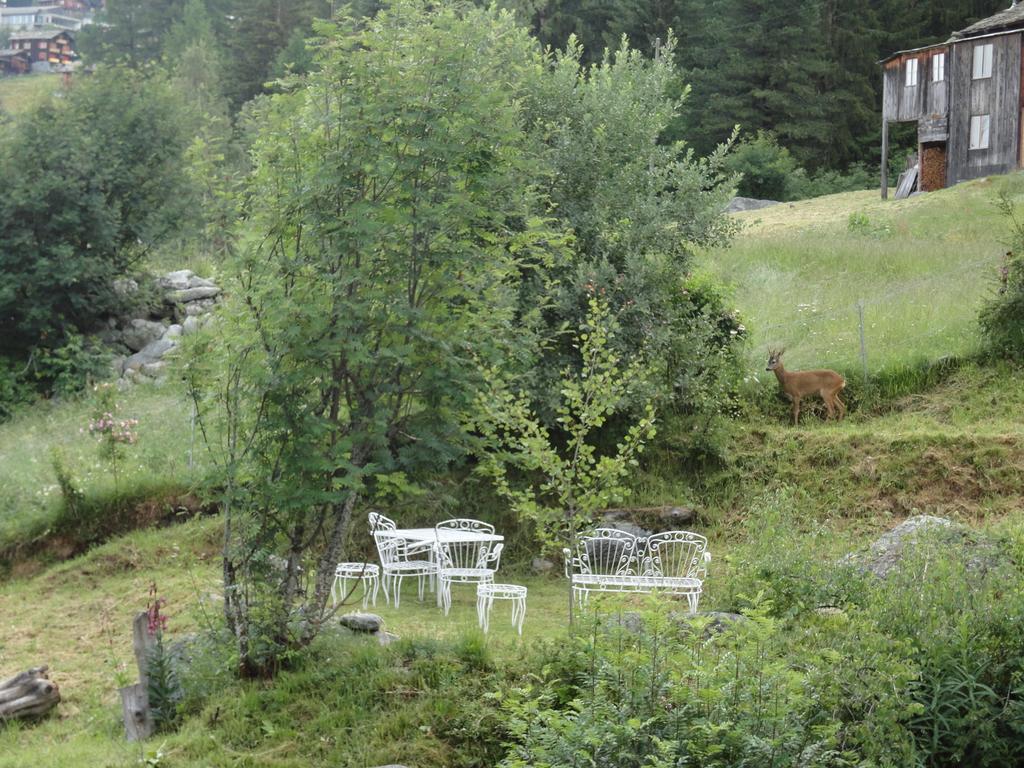 Chalet Sven & Marc Graechen, Niedergraechen Vallis ザンクト・ニクラウス 部屋 写真